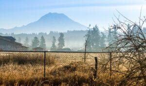 Seattle Travel Guide: Your Ultimate Resource for Attractions, Food, and Culture in the Emerald City Seattle Travel Guide: Your Ultimate Resource for Attractions, Food, and Culture in the Emerald City